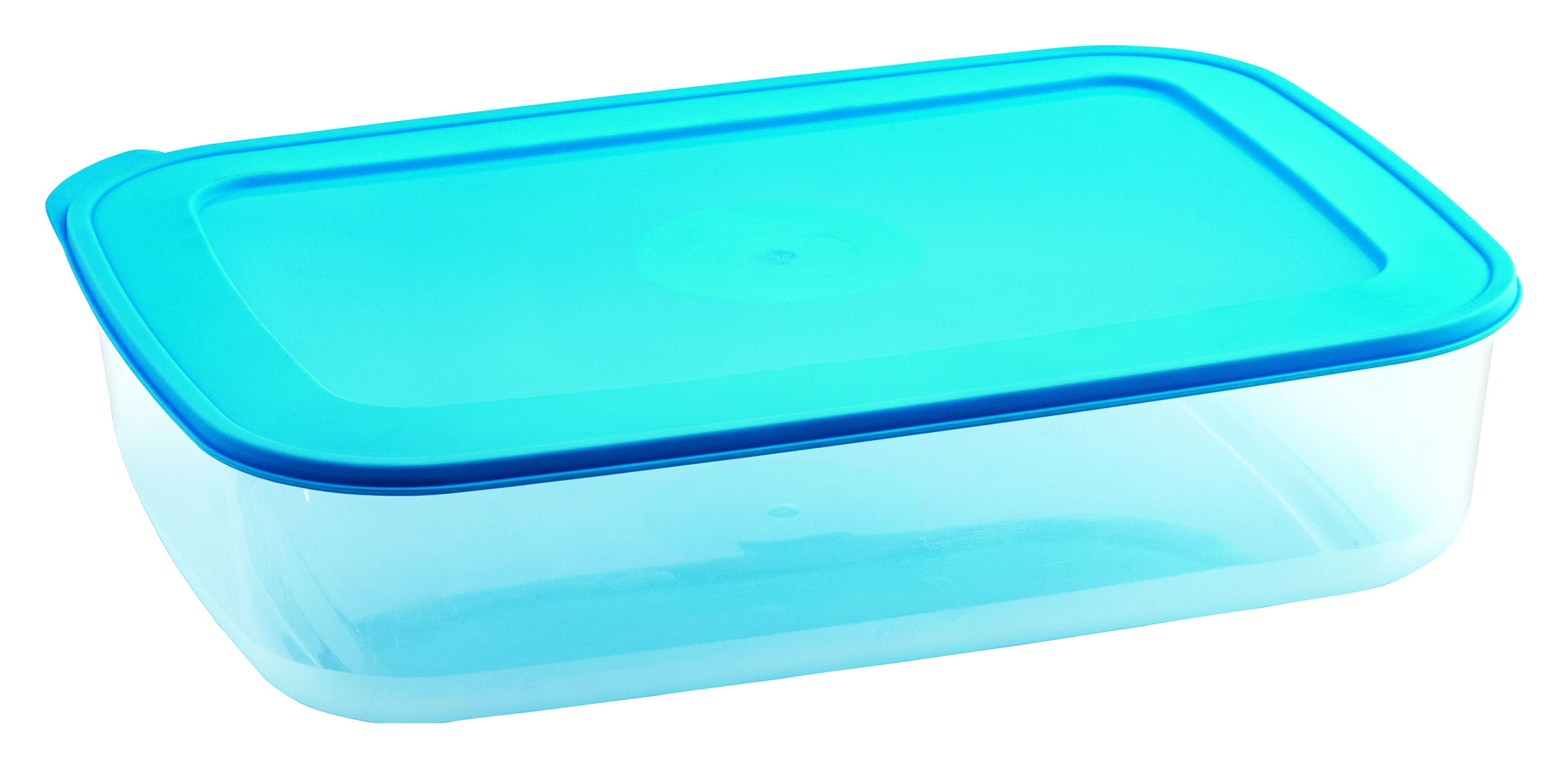 Food Saver Container 3900H (3900 ml) (Assorted) (30 Pc Pk)